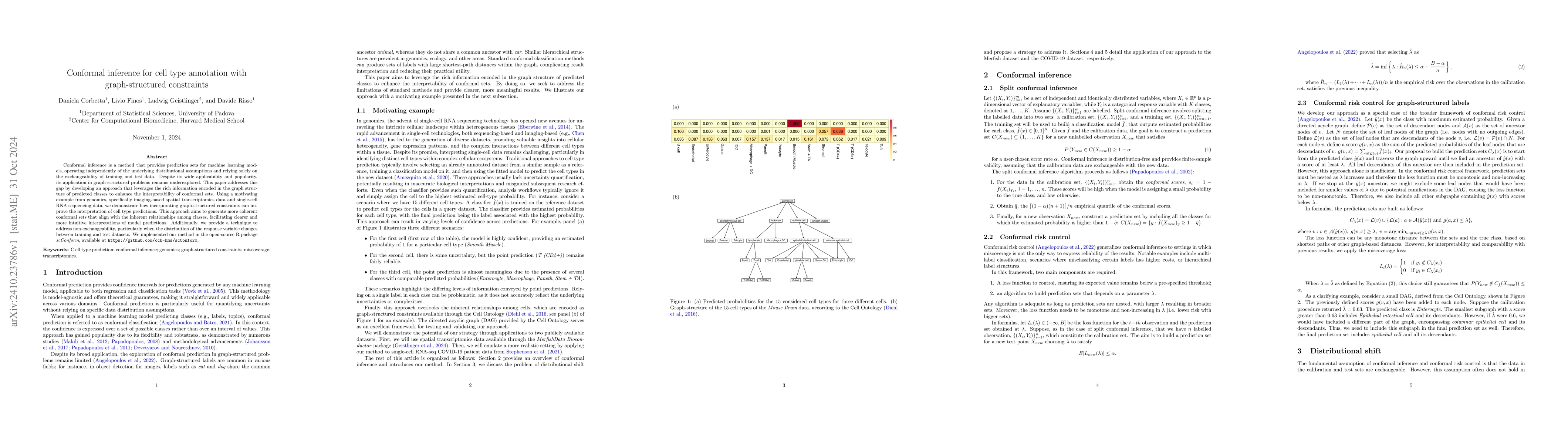 Thumbnail for Conformal inference for cell type annotation with graph-structured
  constraints