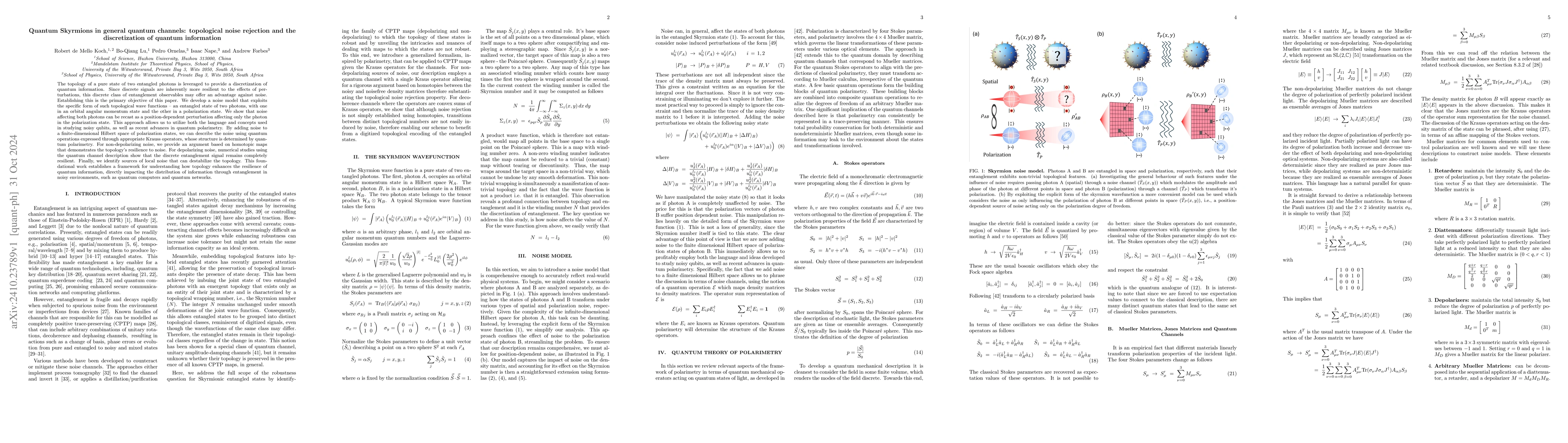 Thumbnail for Quantum Skyrmions in general quantum channels: topological noise
  rejection and the discretization of quantum information