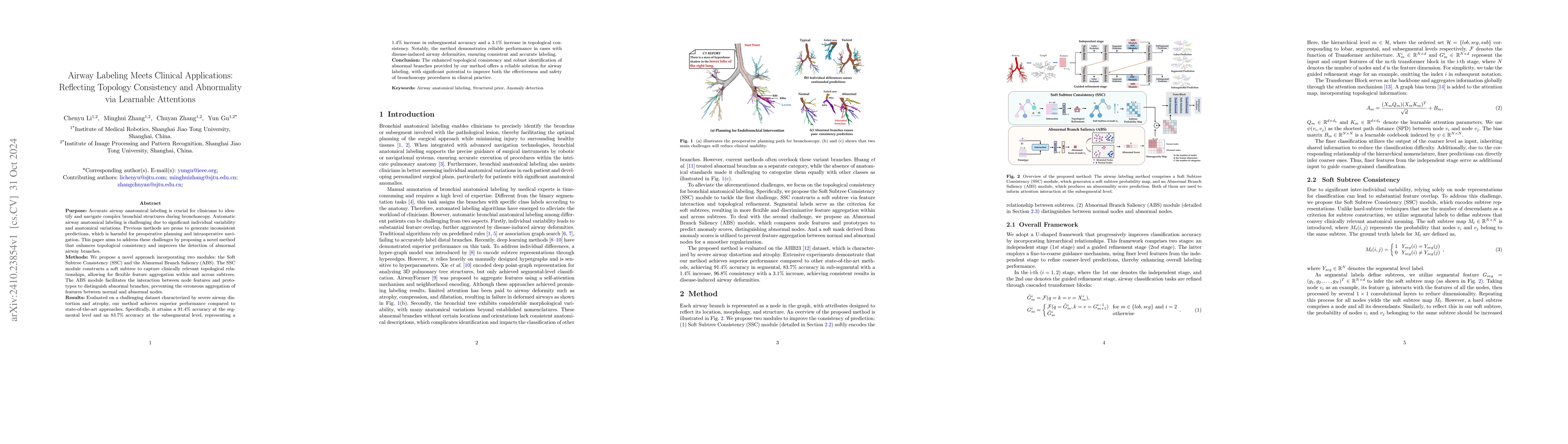 Thumbnail for Airway Labeling Meets Clinical Applications: Reflecting Topology
  Consistency and Outliers via Learnable Attentions