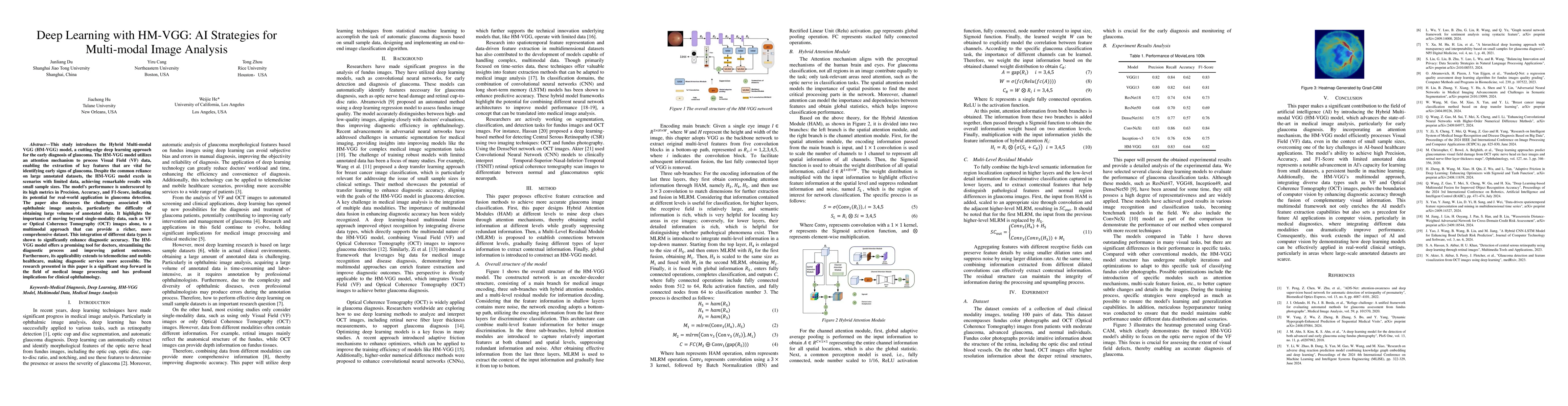 Thumbnail for Deep Learning with HM-VGG: AI Strategies for Multi-modal Image Analysis