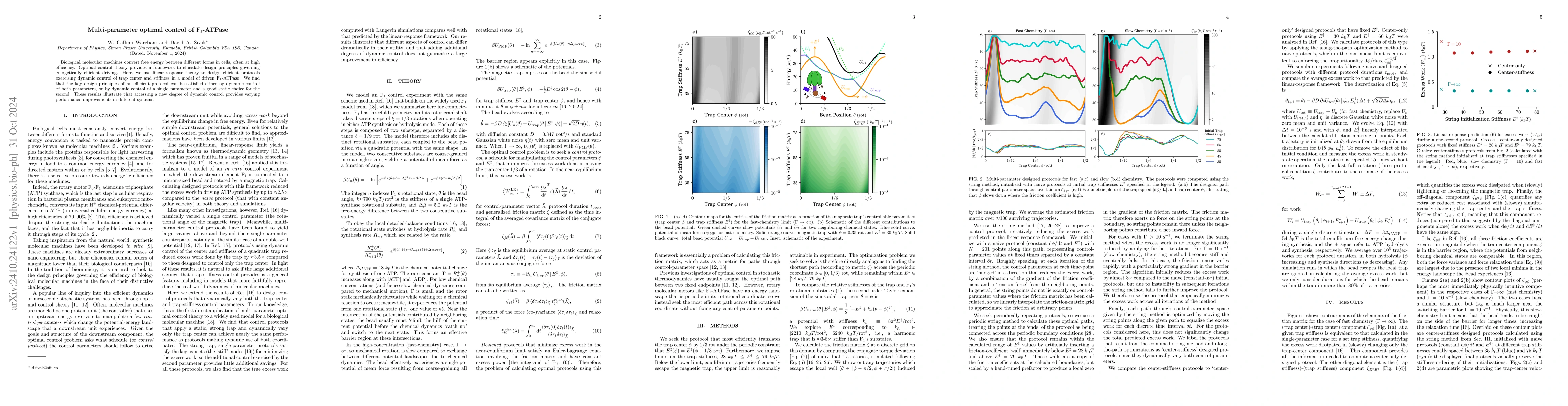 Thumbnail for Multi-parameter optimal control of F1-ATPase