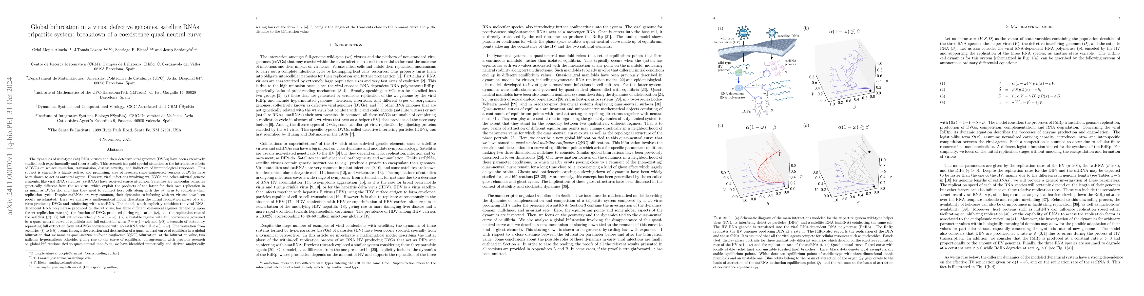 Thumbnail for Global bifurcation in a virus, defective genomes, satellite RNAs
  tripartite system: breakdown of a coexistence quasi-neutral curve