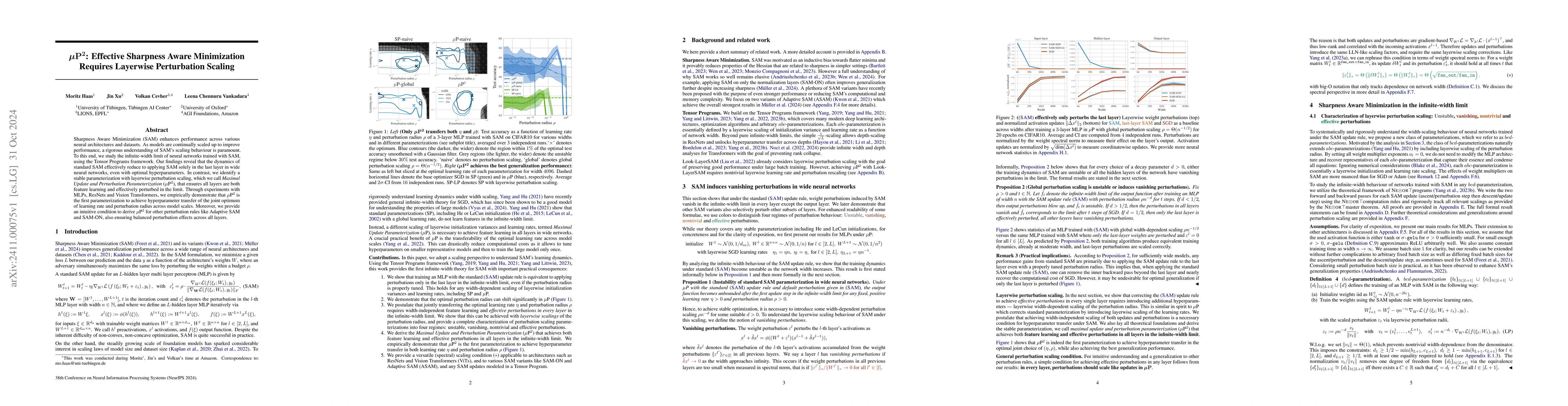 Thumbnail for $\boldsymbolμ\mathbf{P^2}$: Effective Sharpness Aware Minimization
  Requires Layerwise Perturbation Scaling