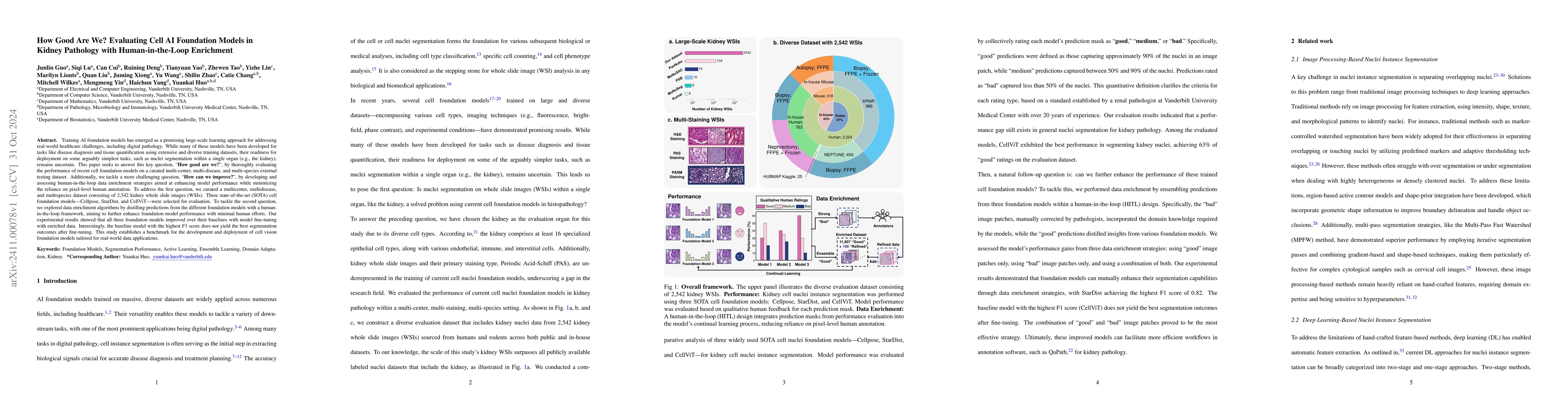 Thumbnail for How Good Are We? Evaluating Cell AI Foundation Models in Kidney
  Pathology with Human-in-the-Loop Enrichment