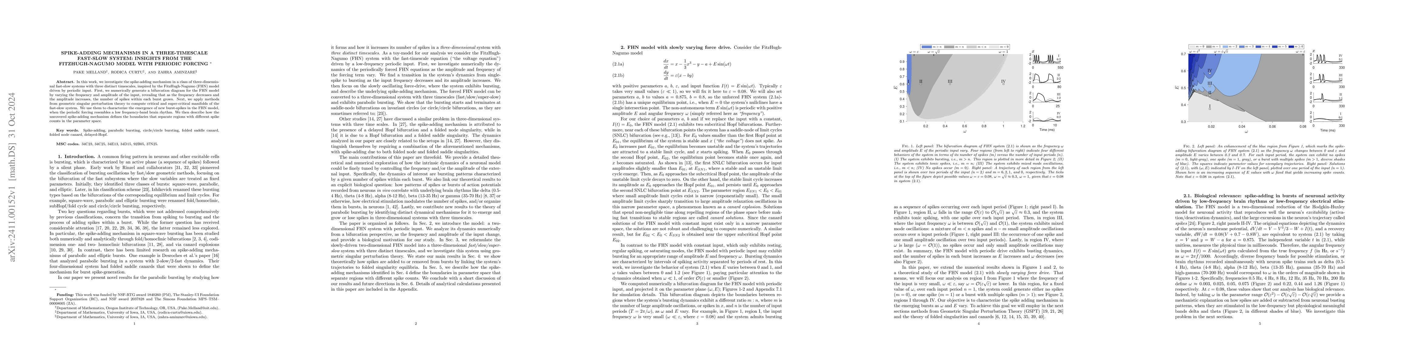 Thumbnail for Spike-Adding Mechanisms in a Three-Timescale Fast-Slow System: Insights
  from the FitzHugh-Nagumo Model with Periodic Forcing