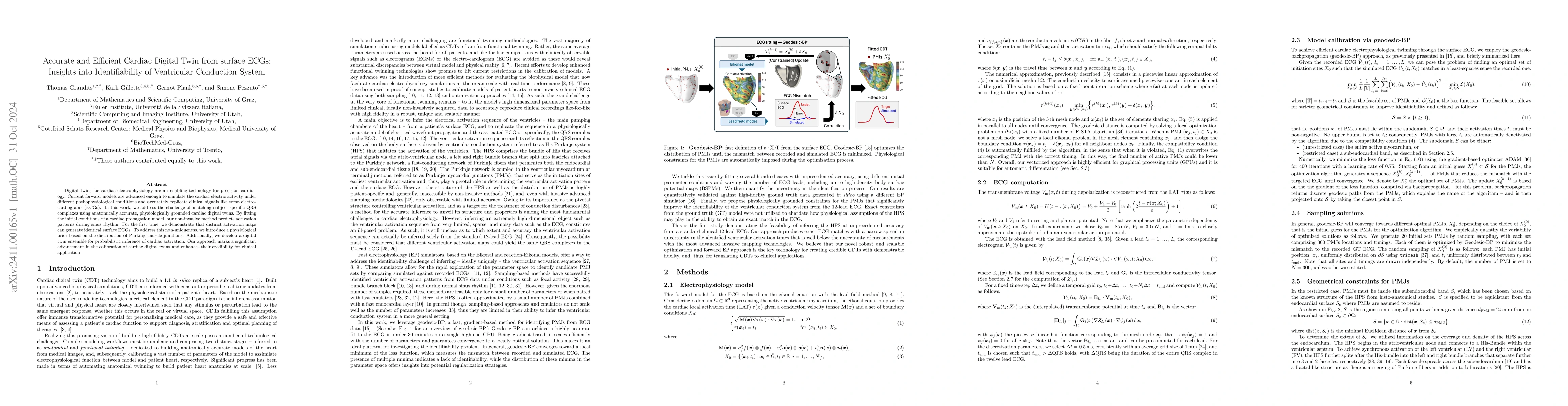 Thumbnail for Accurate and Efficient Cardiac Digital Twin from surface ECGs: Insights
  into Identifiability of Ventricular Conduction System