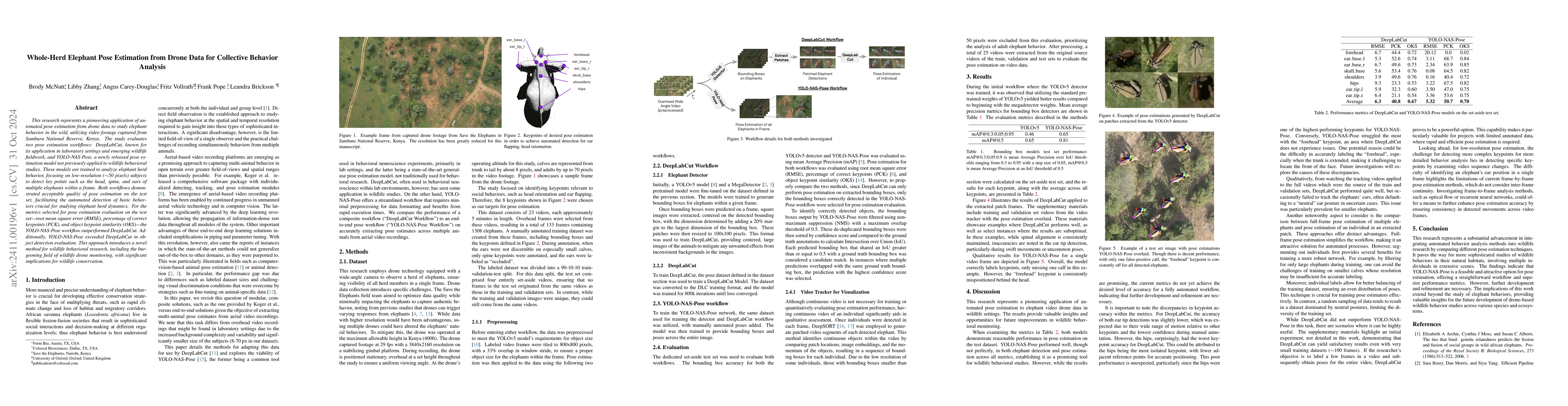Thumbnail for Whole-Herd Elephant Pose Estimation from Drone Data for Collective
  Behavior Analysis