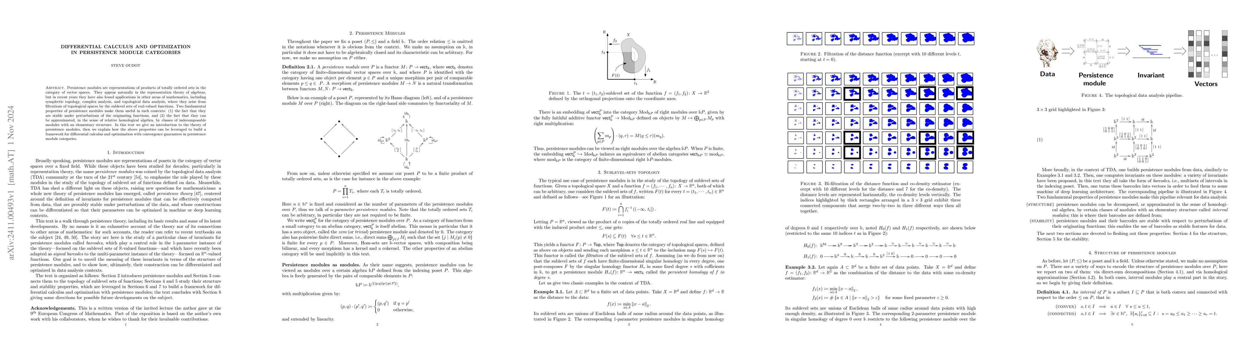 Thumbnail for Differential Calculus and Optimization in Persistence Module Categories