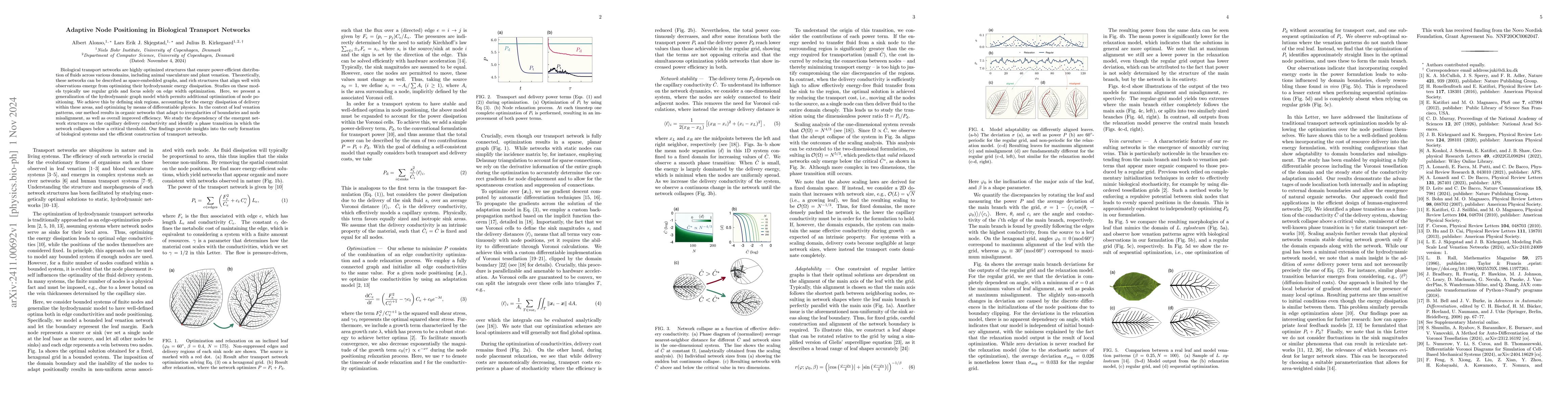 Thumbnail for Adaptive Node Positioning in Biological Transport Networks
