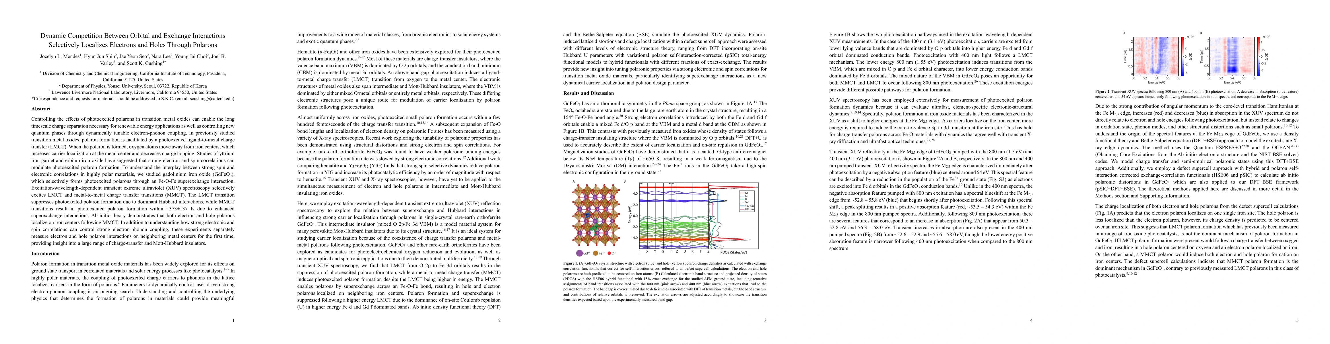 Thumbnail for Dynamic Competition Between Orbital and Exchange Interactions
  Selectively Localizes Electrons and Holes Through Polarons