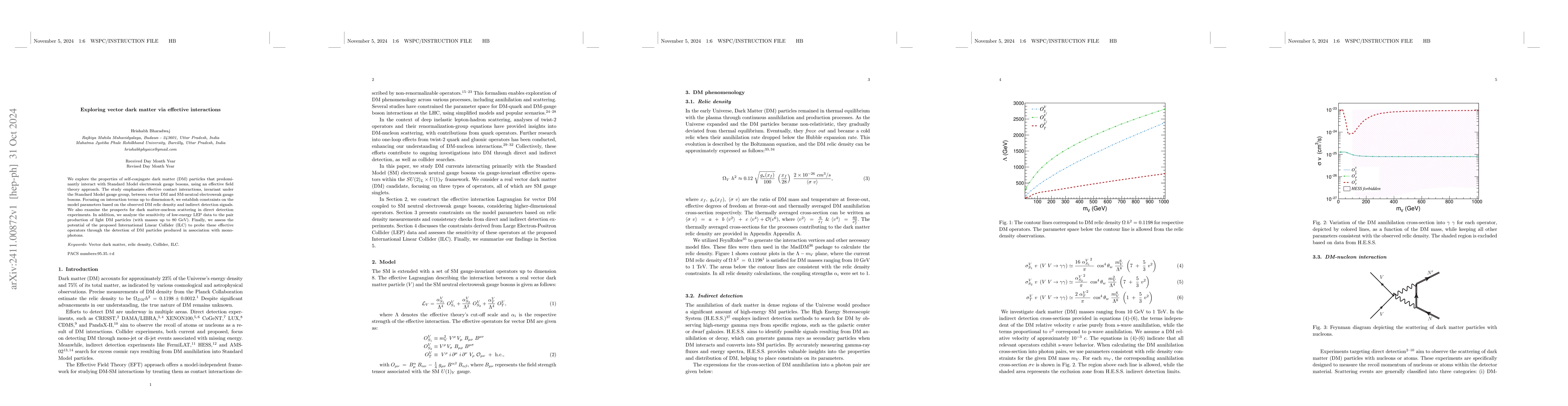Thumbnail for Exploring vector dark matter via effective interactions
