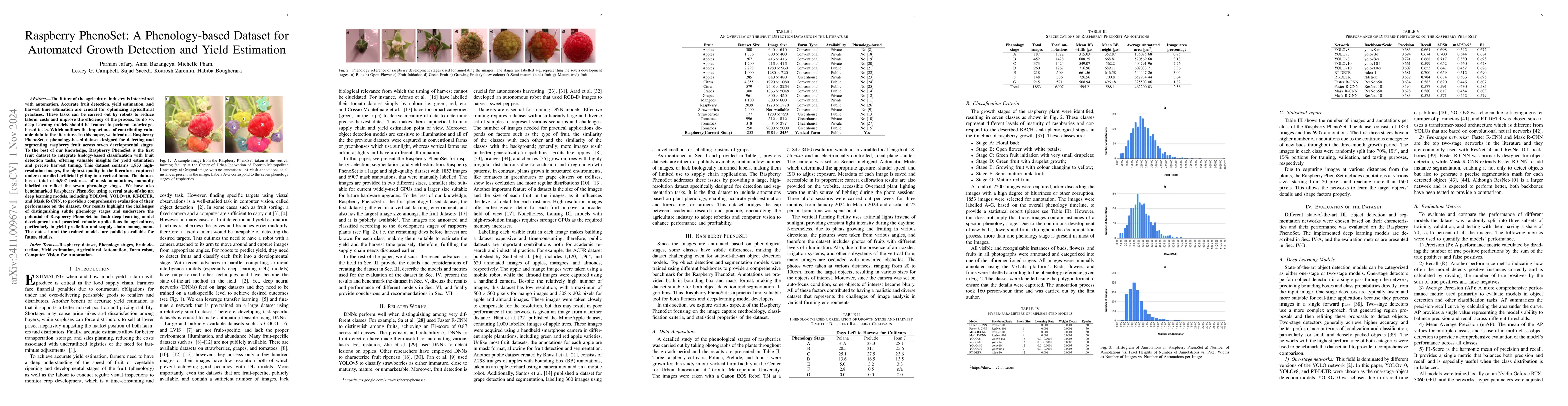 Thumbnail for Raspberry PhenoSet: A Phenology-based Dataset for Automated Growth
  Detection and Yield Estimation