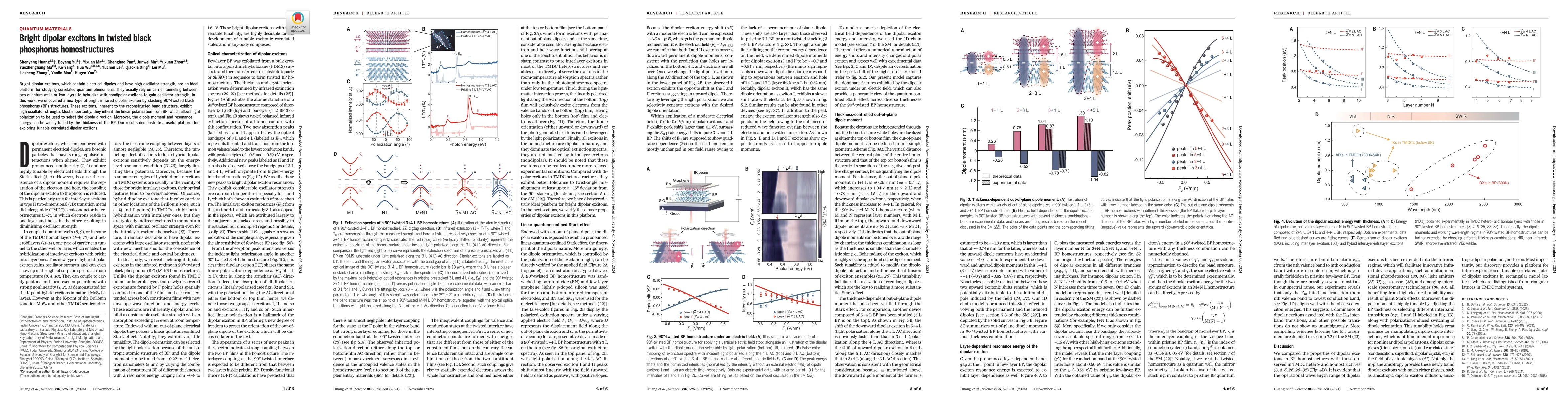 Thumbnail for Bright dipolar excitons in twisted black phosphorus homostructures