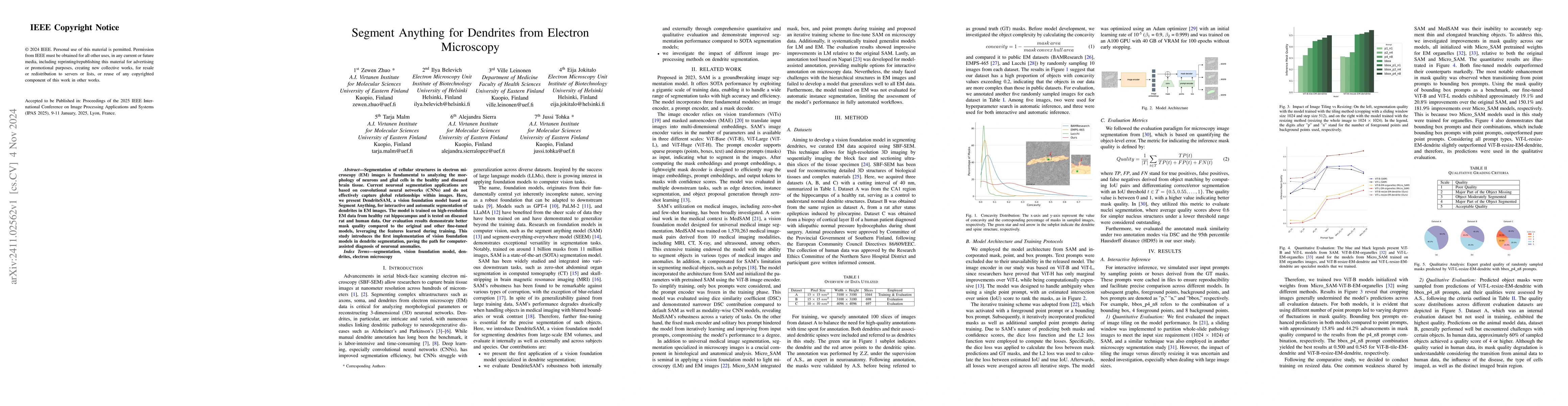 Thumbnail for Segment Anything for Dendrites from Electron Microscopy