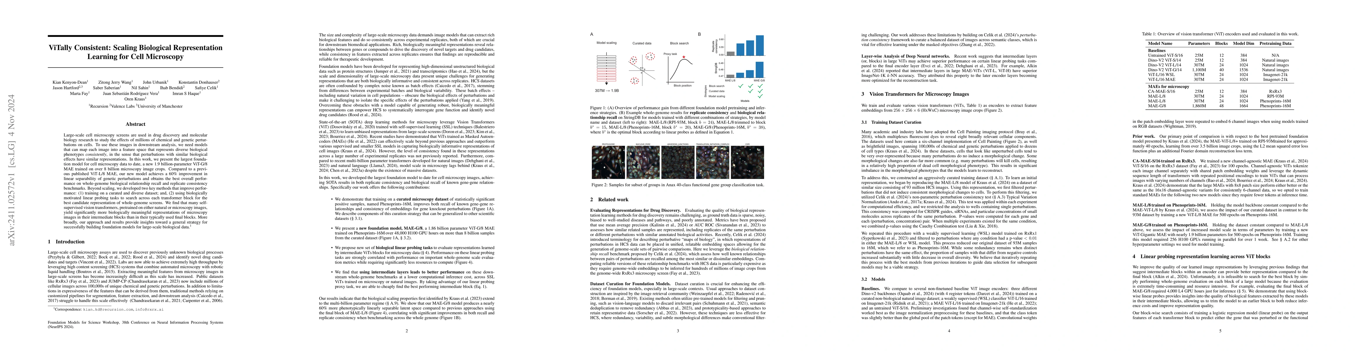 Thumbnail for ViTally Consistent: Scaling Biological Representation Learning for Cell
  Microscopy