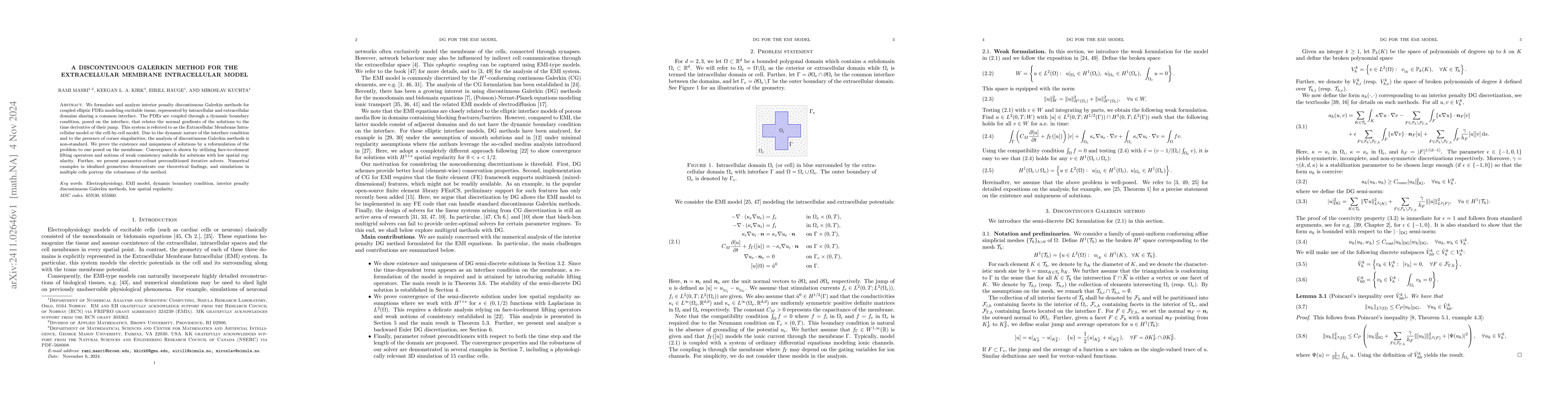 Thumbnail for A Discontinuous Galerkin Method for the Extracellular Membrane
  Intracellular Model