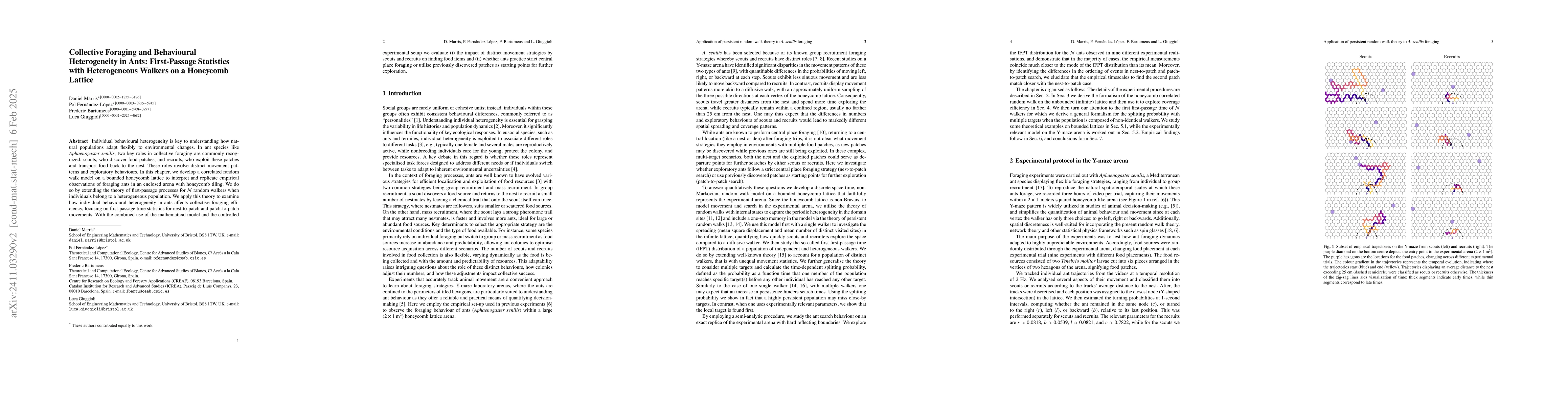 Thumbnail for Collective Foraging and Behavioural Heterogeneity in Ants: First-Passage
  Statistics with Heterogeneous Walkers in a Honeycomb Lattice