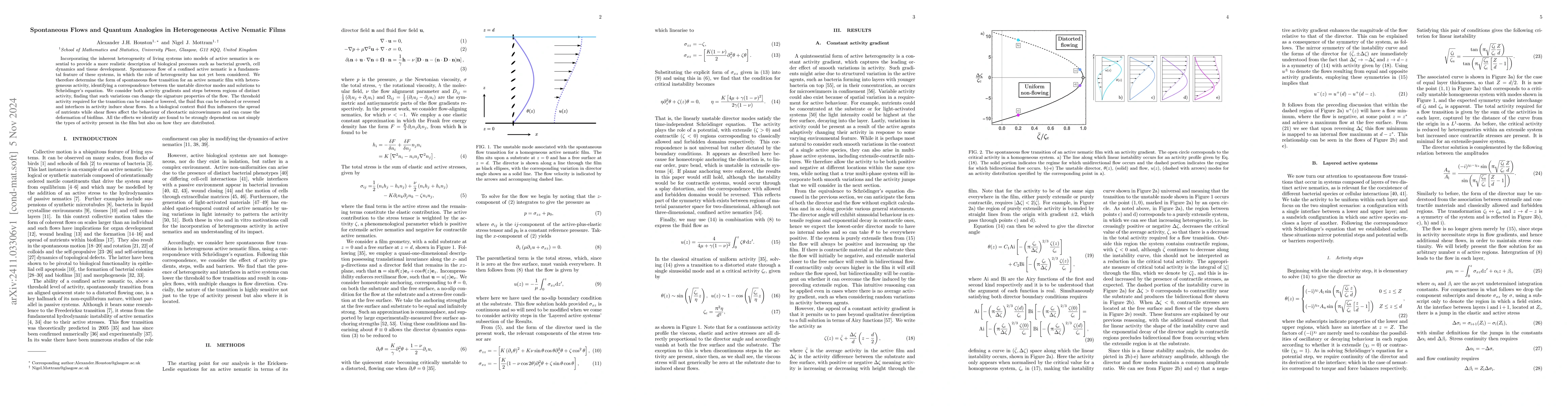 Thumbnail for Spontaneous Flows and Quantum Analogies in Heterogeneous Active Nematic
  Films