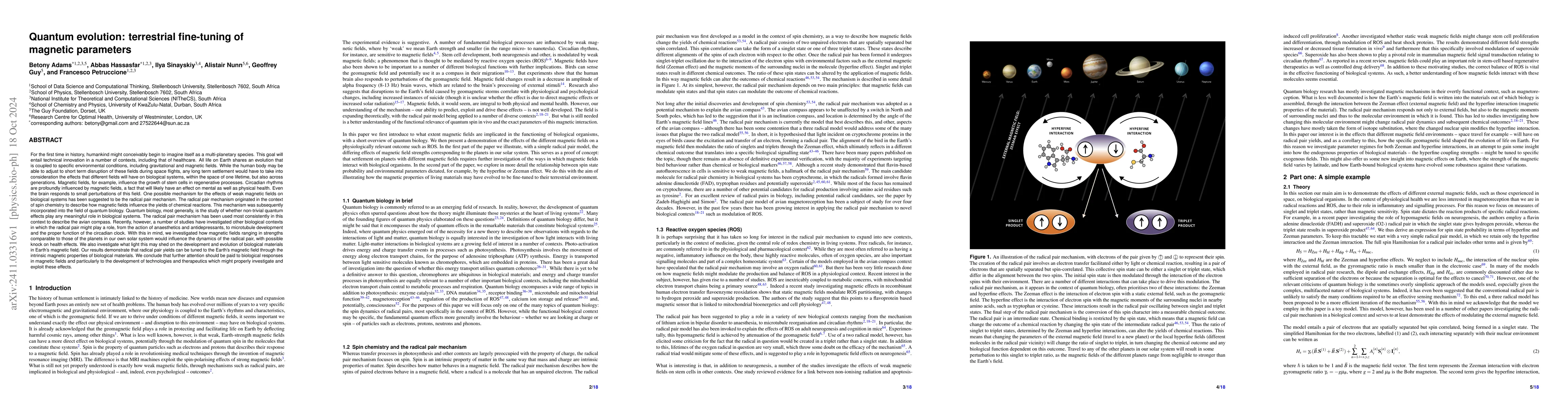 Thumbnail for Quantum evolution: terrestrial fine-tuning of magnetic parameters