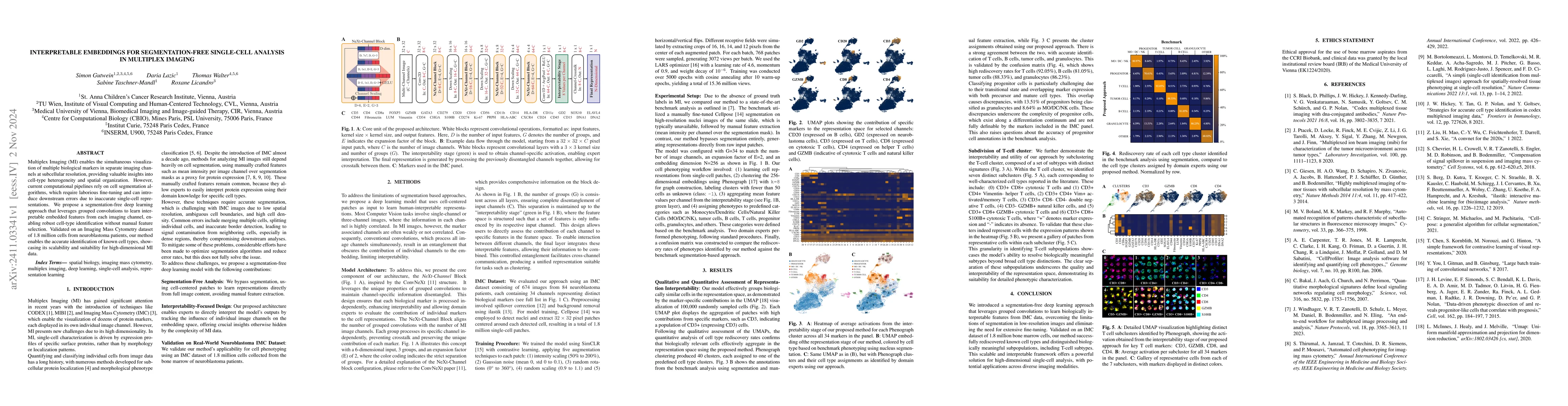 Thumbnail for Interpretable Embeddings for Segmentation-Free Single-Cell Analysis in
  Multiplex Imaging