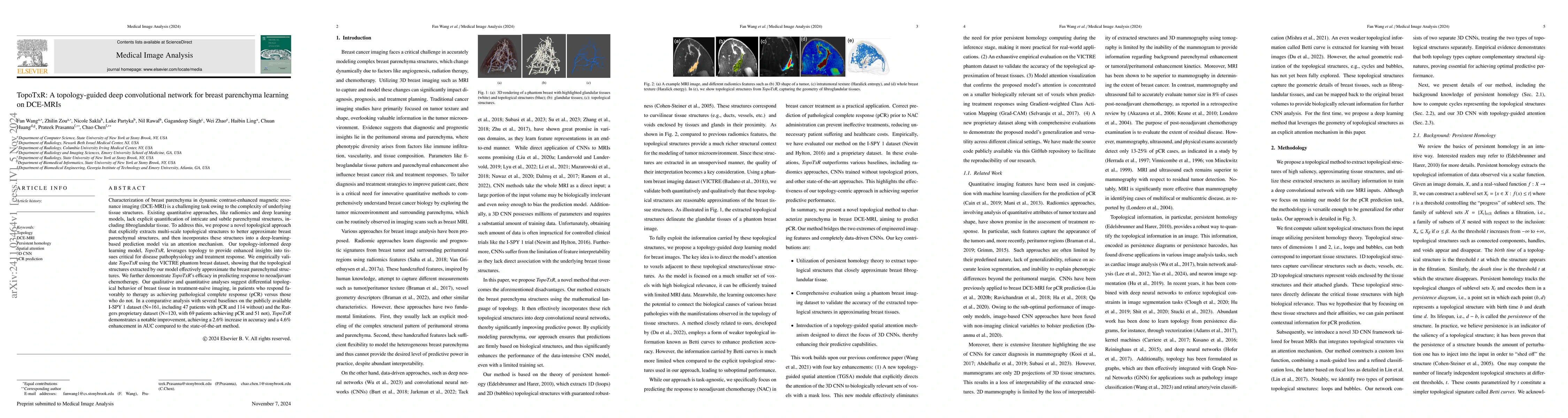 Thumbnail for TopoTxR: A topology-guided deep convolutional network for breast
  parenchyma learning on DCE-MRIs