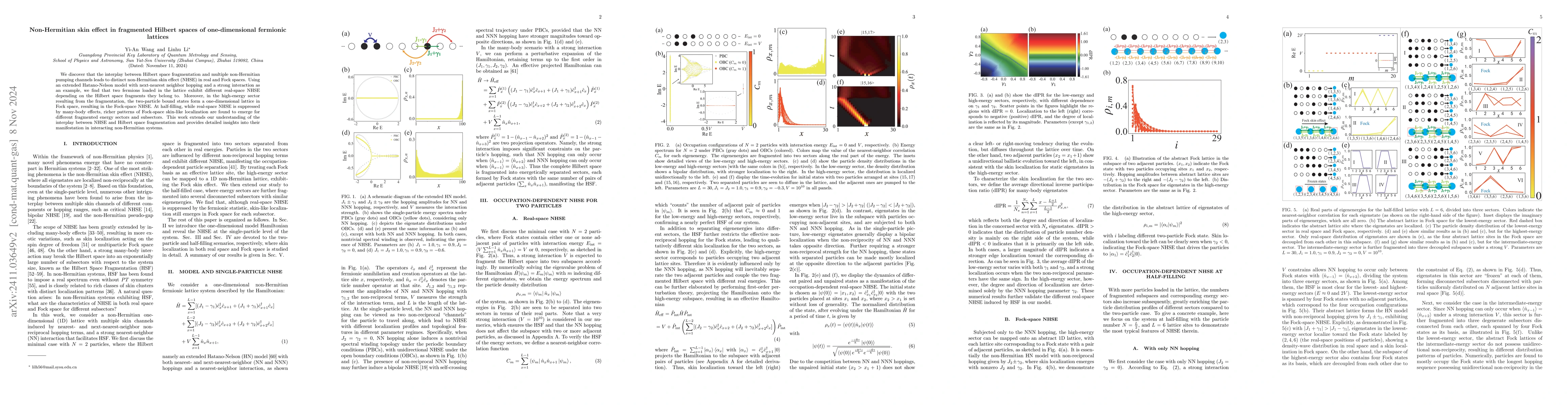 Thumbnail for Non-Hermitian skin effect in fragmented Hilbert spaces of
  one-dimensional fermionic lattices