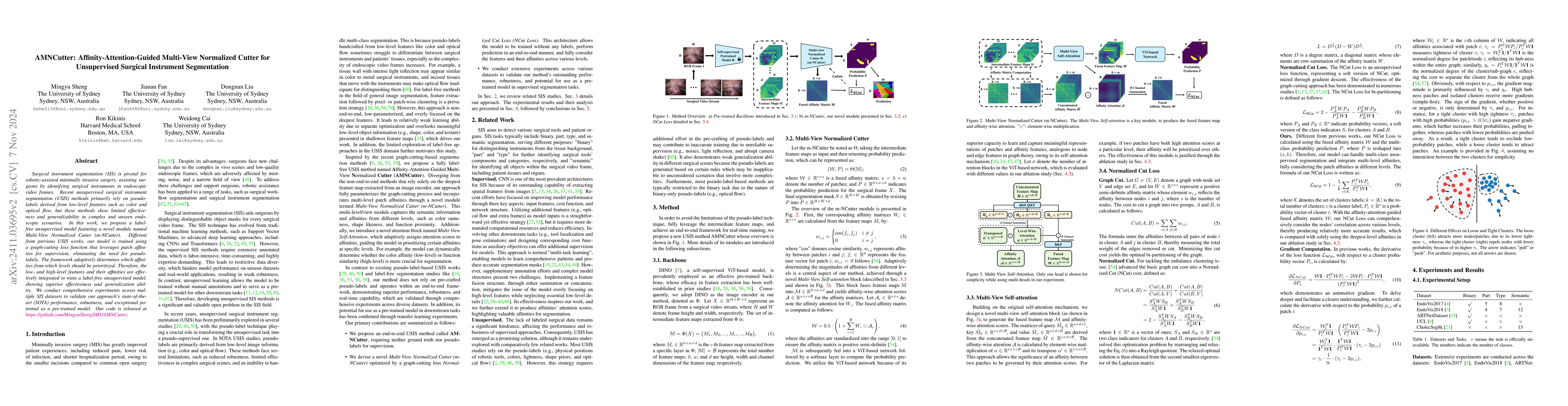 Thumbnail for AMNCutter: Affinity-Attention-Guided Multi-View Normalized Cutter for
  Unsupervised Surgical Instrument Segmentation