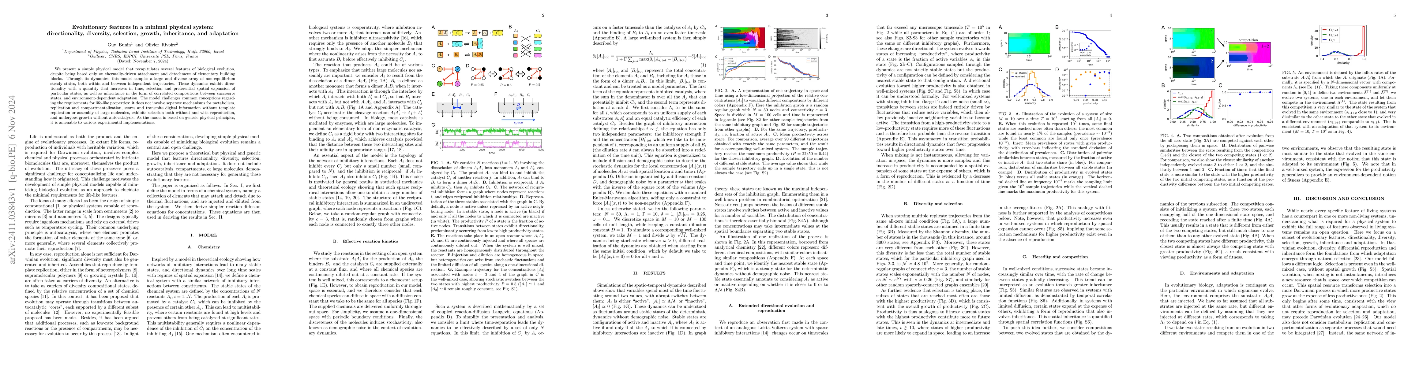 Thumbnail for Evolutionary features in a minimal physical system: directionality,
  diversity, selection, growth, inheritance, and adaptation