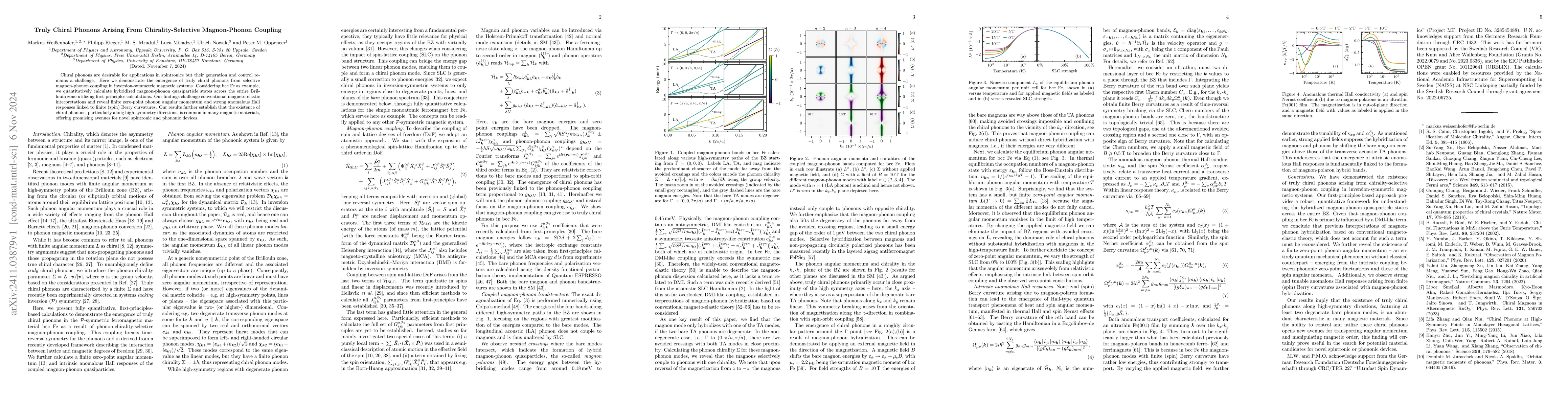 Thumbnail for Truly Chiral Phonons Arising From Chirality-Selective Magnon-Phonon
  Coupling