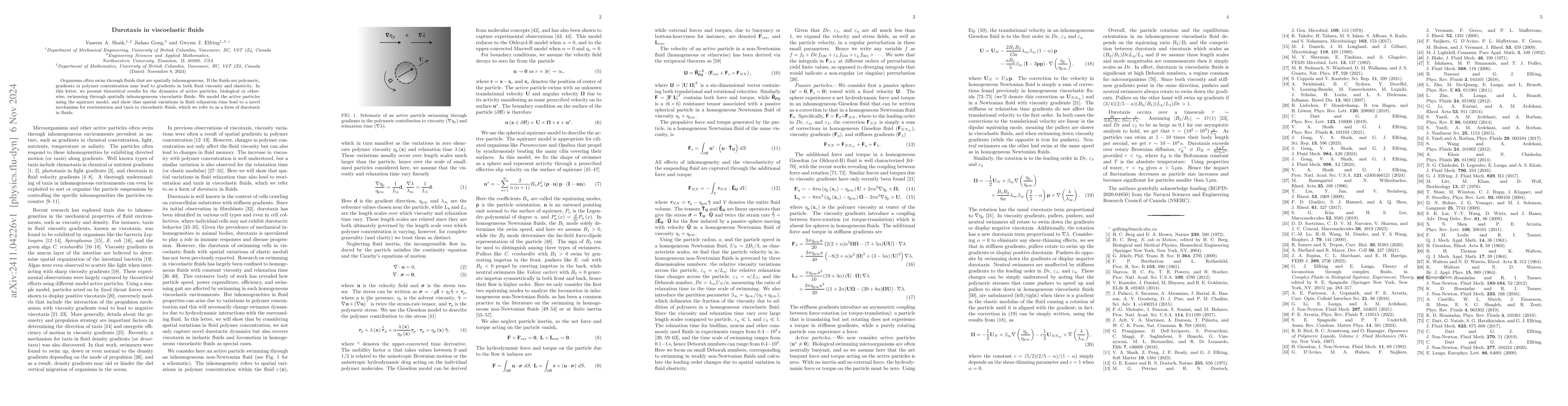 Thumbnail for Durotaxis in viscoelastic fluids