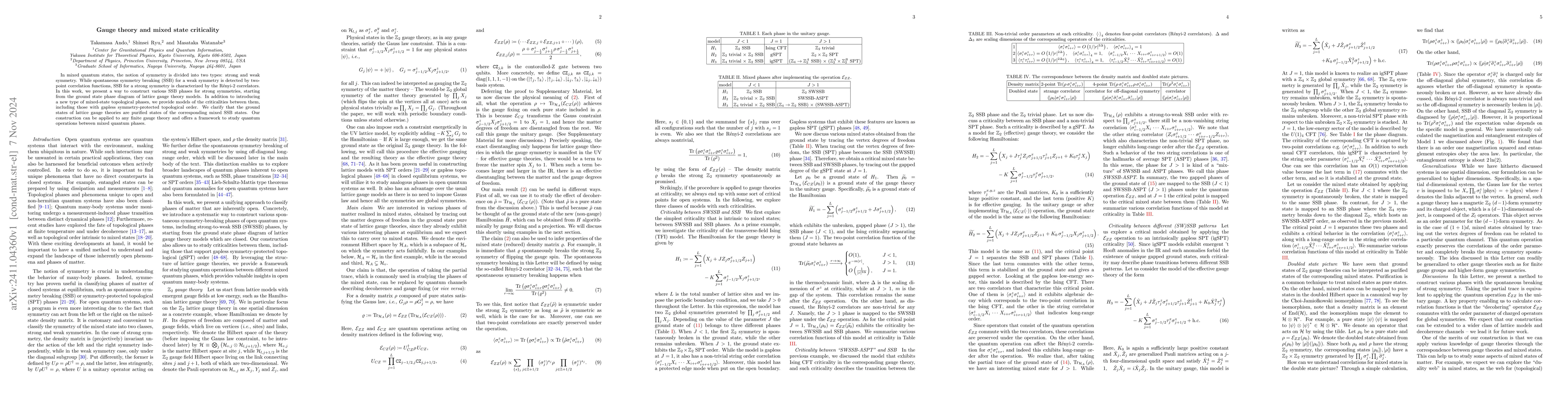 Thumbnail for Gauge theory and mixed state criticality