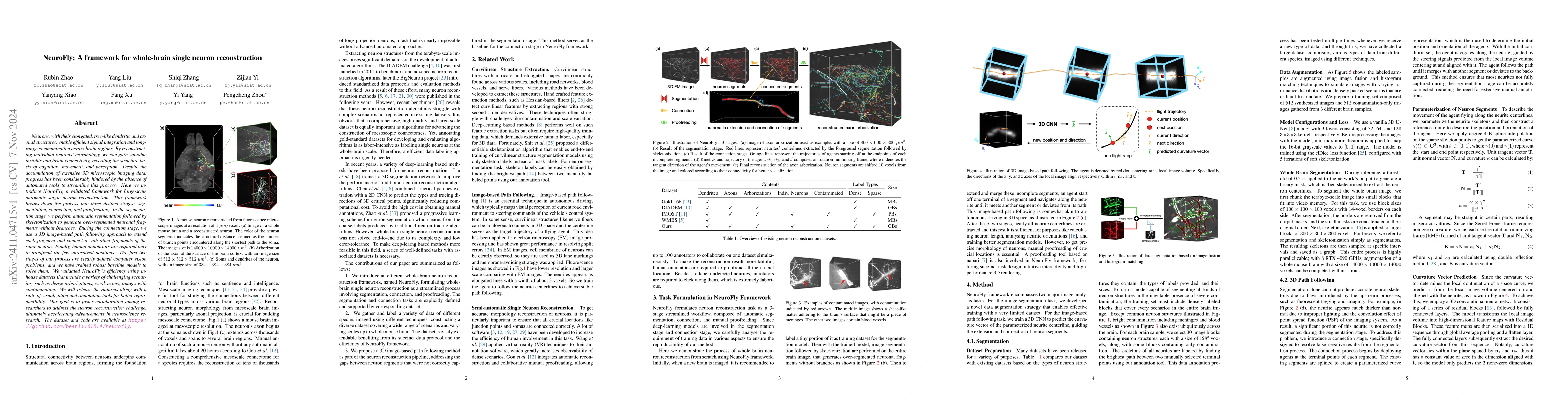 Thumbnail for NeuroFly: A framework for whole-brain single neuron reconstruction