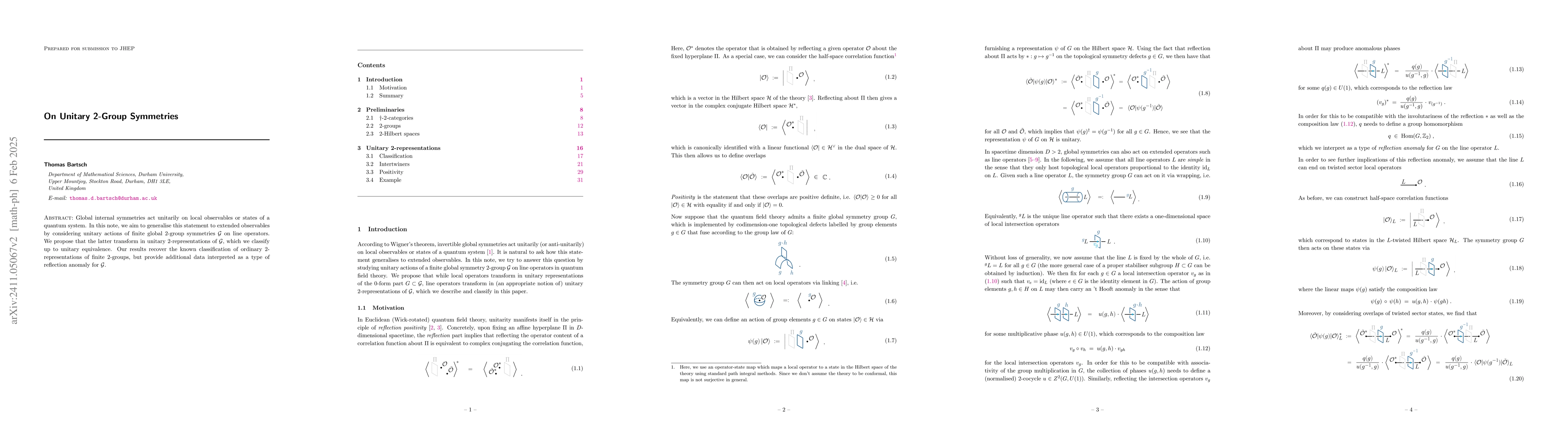 Thumbnail for On Unitary 2-Group Symmetries