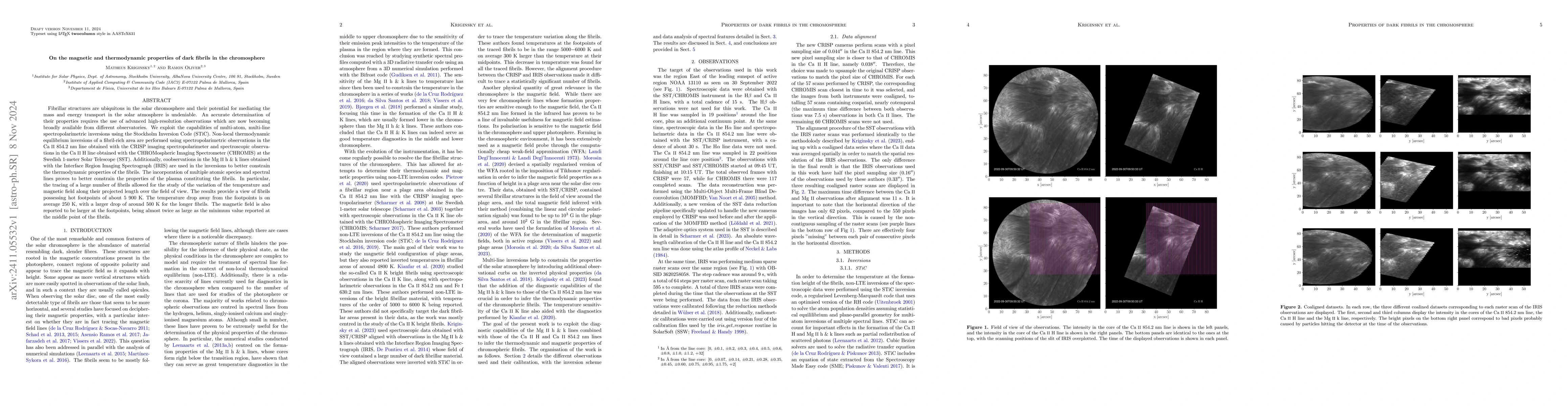 Thumbnail for On the magnetic and thermodynamic properties of dark fibrils in the
  chromosphere