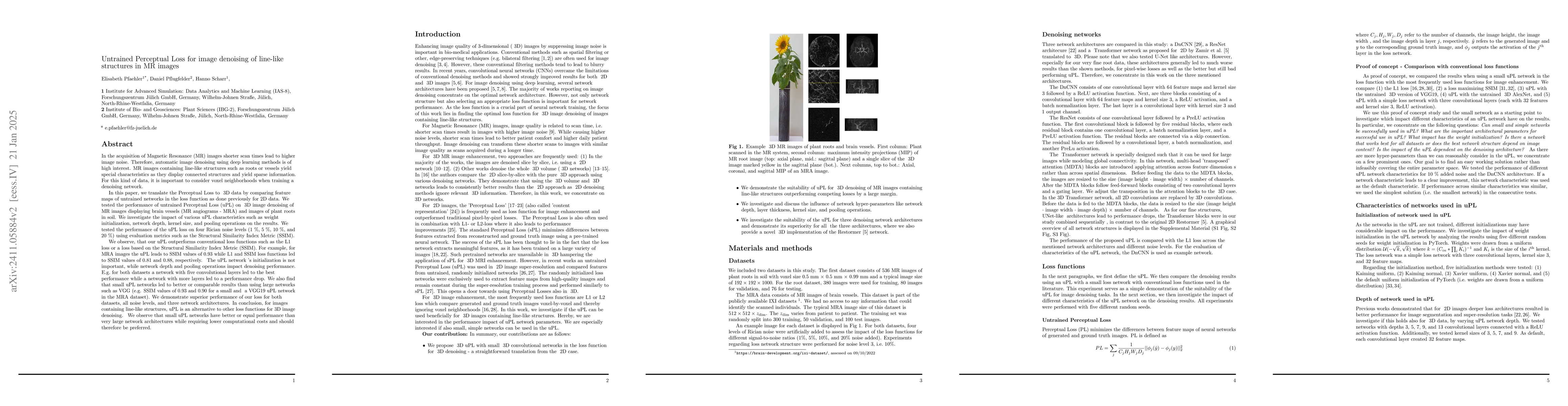 Thumbnail for Untrained Perceptual Loss for image denoising of line-like structures in
  MR images