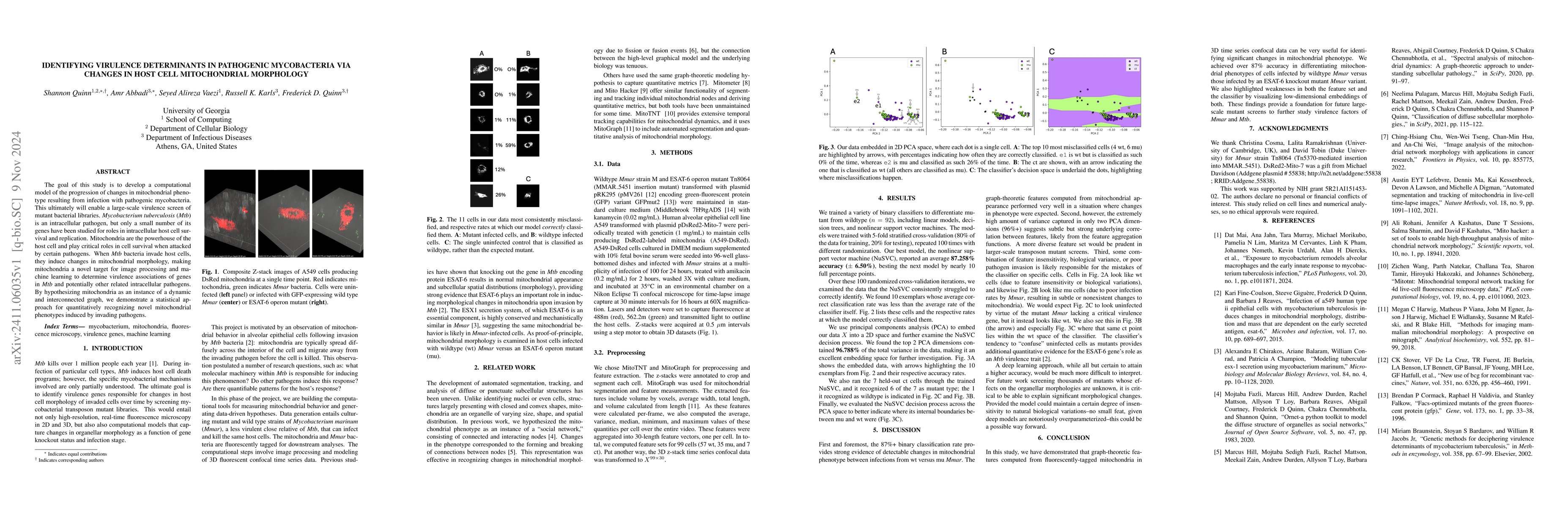 Thumbnail for Identifying Virulence Determinants In Pathogenic Mycobacteria Via
  Changes In Host Cell Mitochondrial Morphology