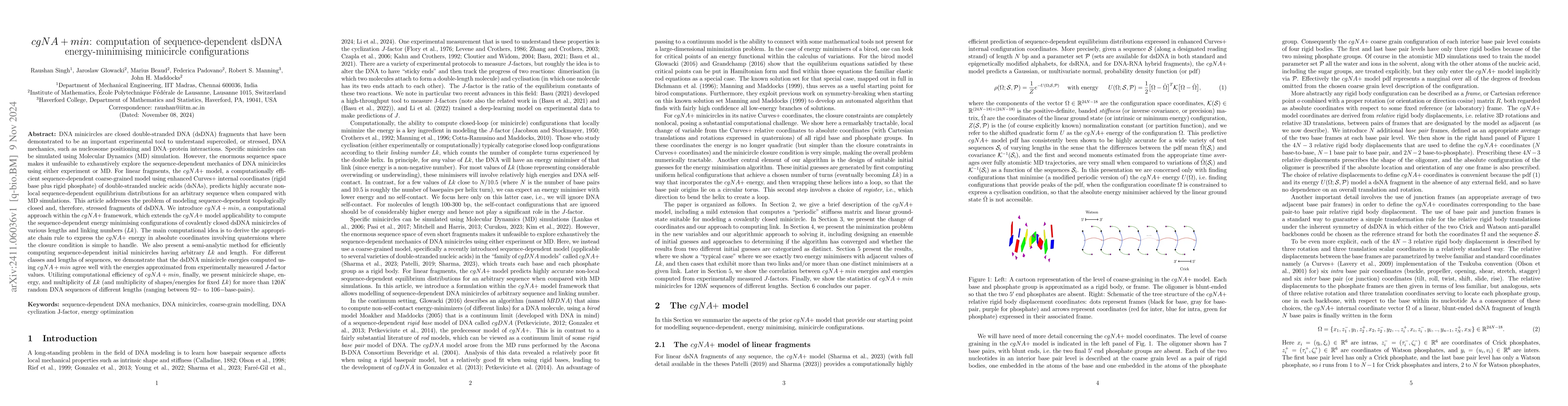 Thumbnail for cgNA+min: computation of sequence-dependent dsDNA energy-minimising
  minicircle configurations