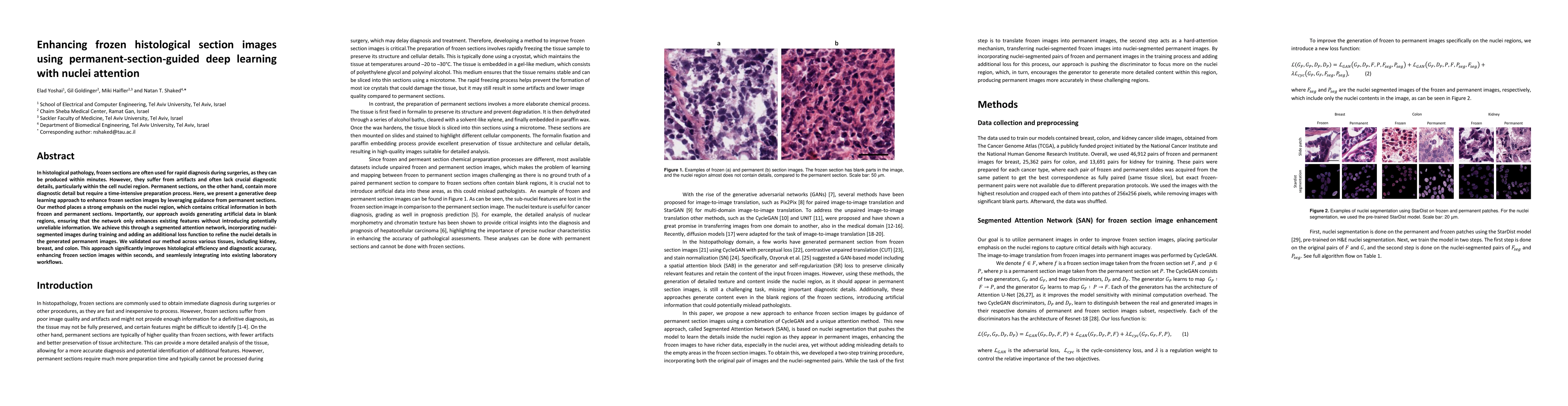 Thumbnail for Enhancing frozen histological section images using
  permanent-section-guided deep learning with nuclei attention