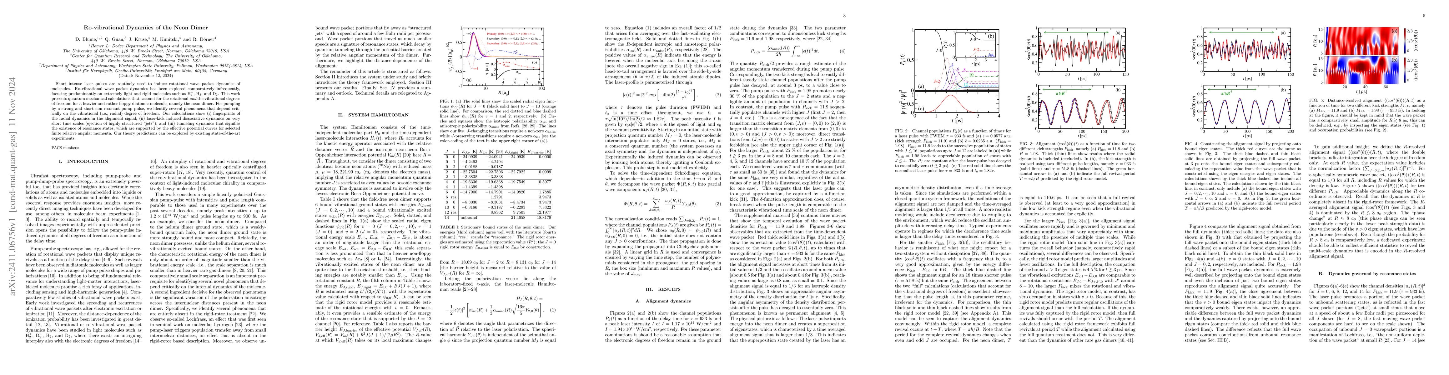 Thumbnail for Ro-vibrational Dynamics of the Neon Dimer