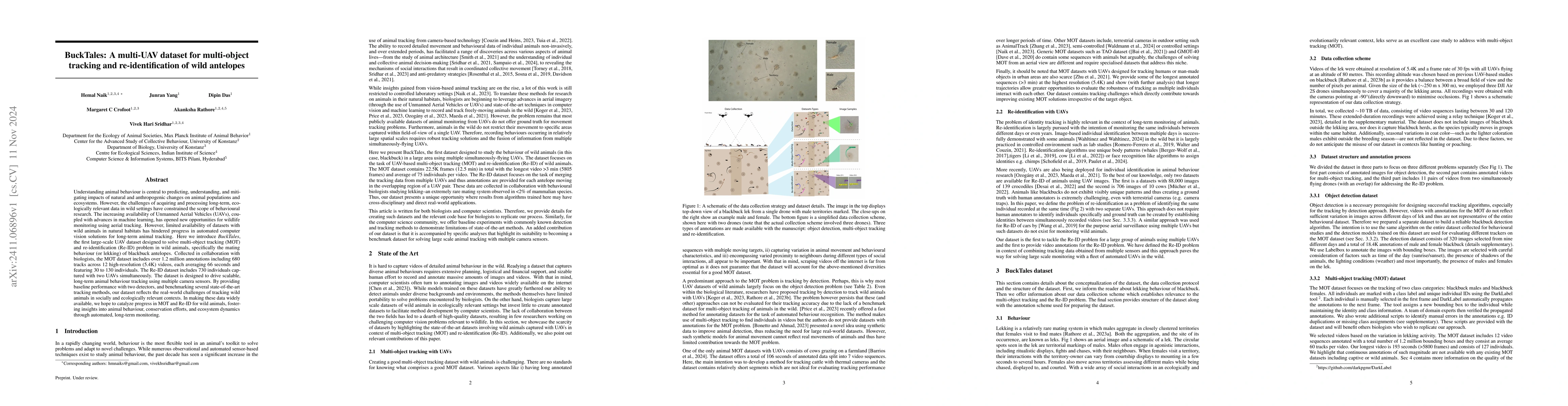 Thumbnail for BuckTales : A multi-UAV dataset for multi-object tracking and
  re-identification of wild antelopes