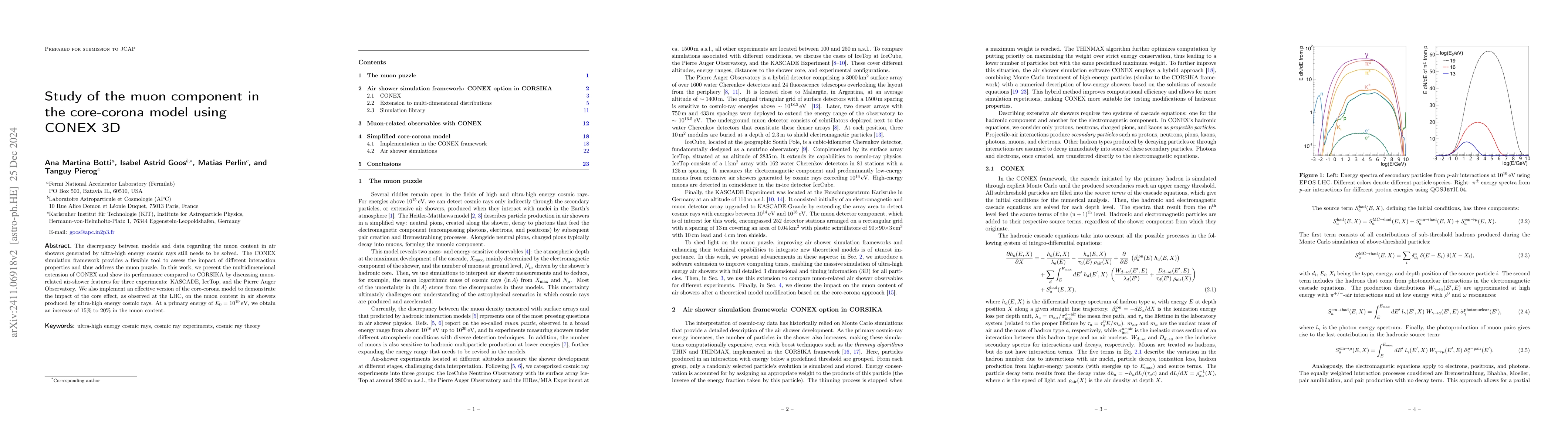Thumbnail for Study of the muon component in the core-corona model using CONEX 3D