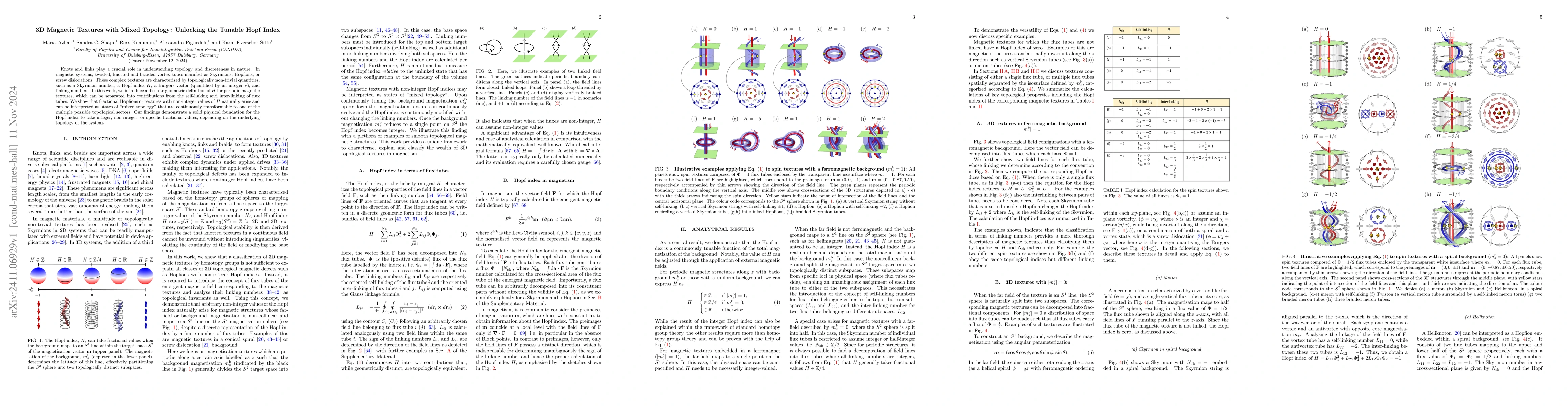 Thumbnail for 3D Magnetic Textures with Mixed Topology: Unlocking the Tunable Hopf
  Index