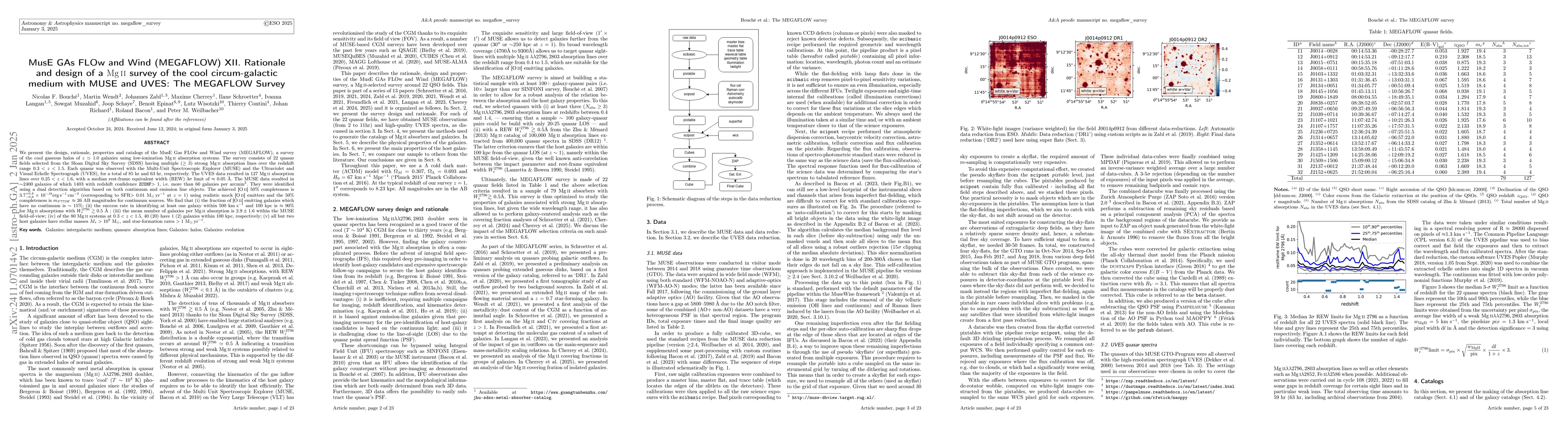 Thumbnail for MusE GAs FLOw and Wind (MEGAFLOW) XII. Rationale and design of a MgII
  survey of the cool circum-galactic medium with MUSE and UVES: The MEGAFLOW
  Survey