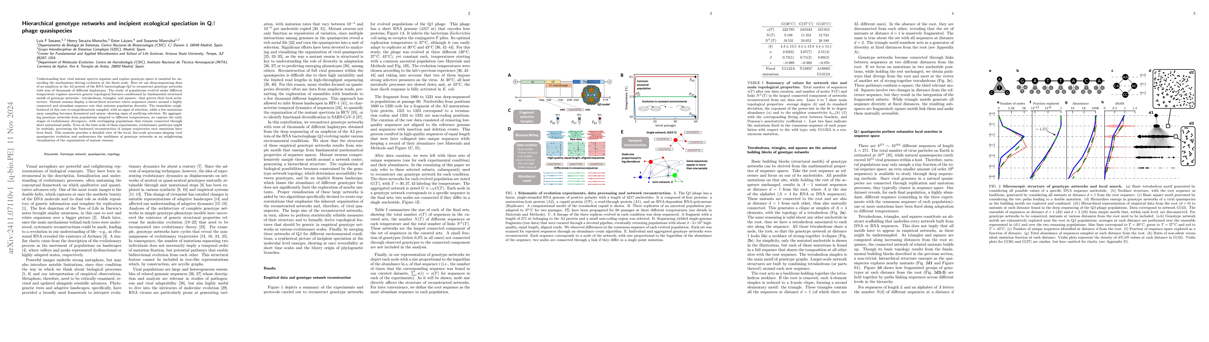 Thumbnail for Hierarchical genotype networks and incipient ecological speciation in
  Q$β$ phage quasispecies