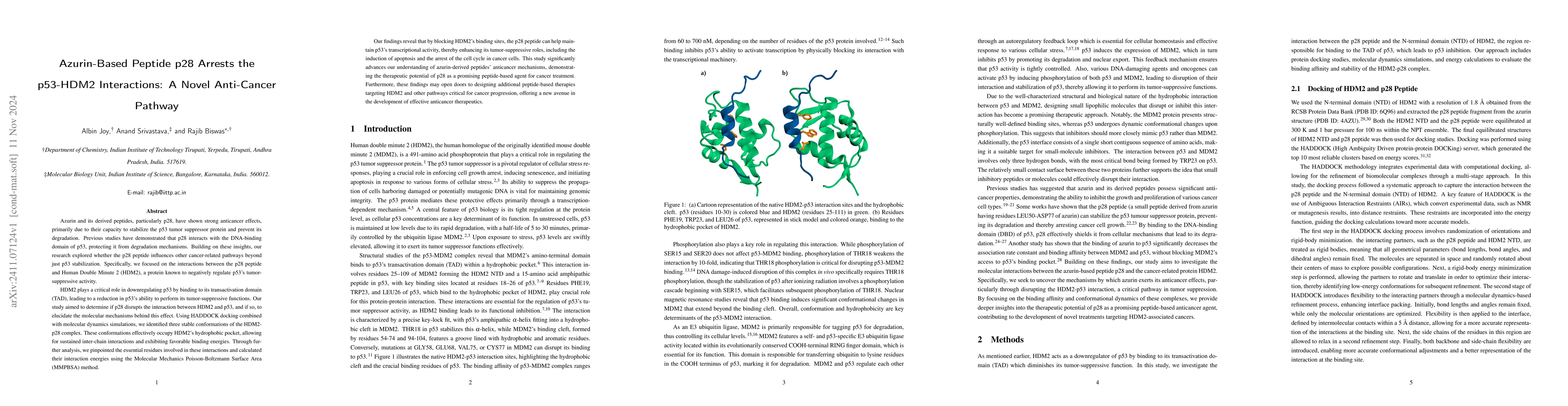 Thumbnail for Azurin-Based Peptide p28 Arrests the p53-HDM2 Interactions: A Novel
  Anti-Cancer Pathway