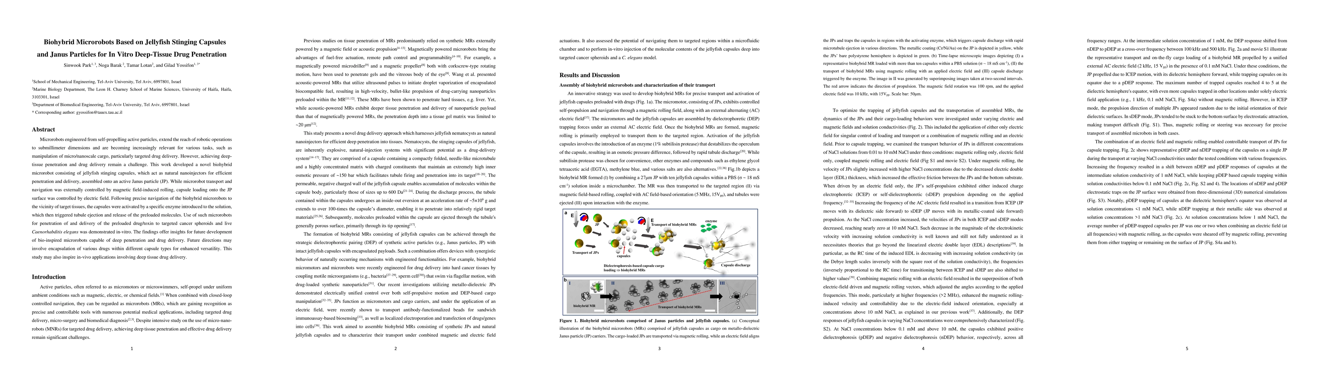 Thumbnail for Biohybrid Microrobots Based on Jellyfish Stinging Capsules and Janus
  Particles for In Vitro Deep-Tissue Drug Penetration