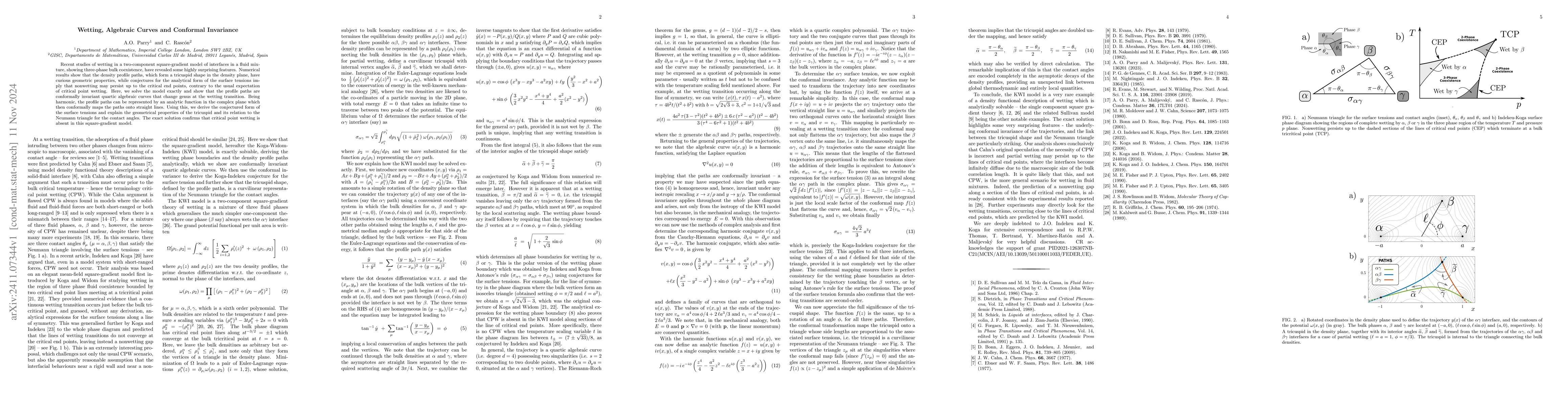 Thumbnail for Wetting, Algebraic Curves and Conformal Invariance