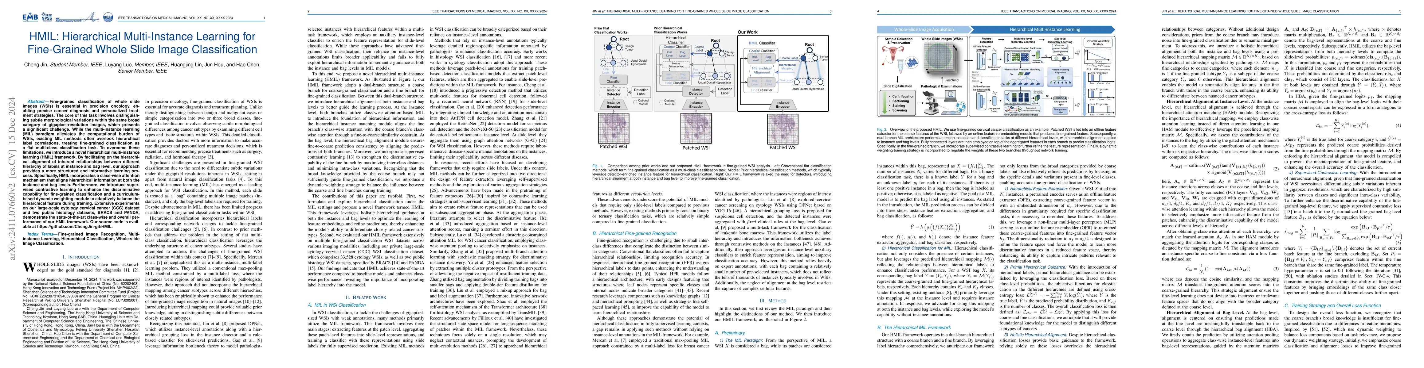 Thumbnail for HMIL: Hierarchical Multi-Instance Learning for Fine-Grained Whole Slide
  Image Classification