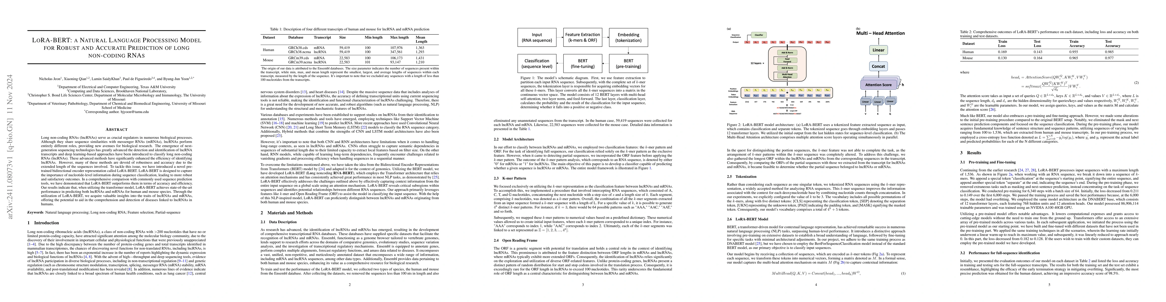 Thumbnail for LoRA-BERT: a Natural Language Processing Model for Robust and Accurate
  Prediction of long non-coding RNAs