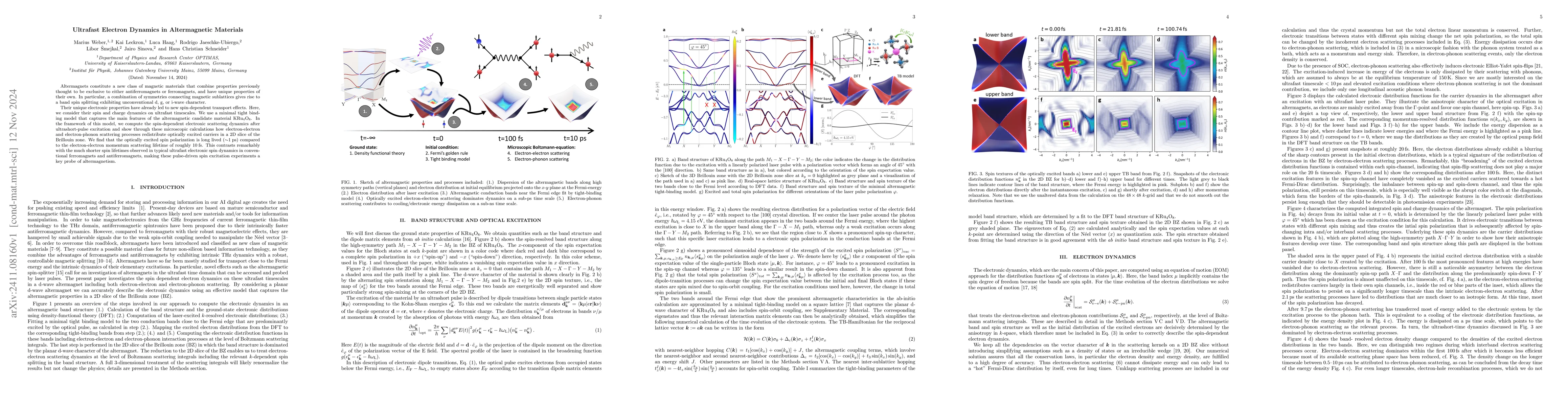 Thumbnail for Ultrafast electron dynamics in altermagnetic materials